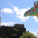 More than 40 huge giraffe sculptures will take to the streets of the Capital next year when Edinburgh Zoo’s Giraffe About Town trail goes live in Summer 2022.