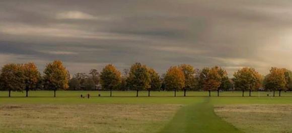 An autumnal shot of the trees at Town Fields by @magdalenamlfotoart