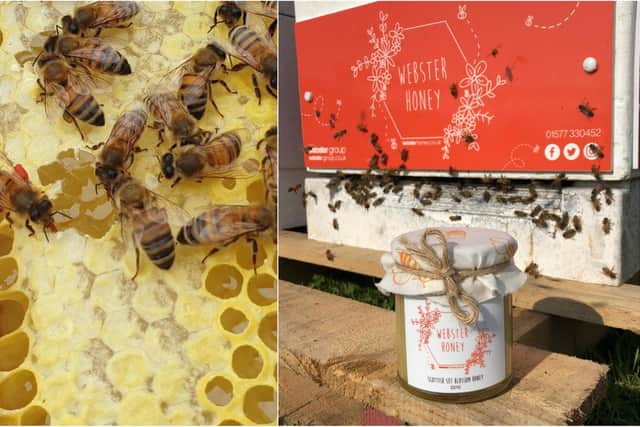 Cameron Toll Shopping Centre in Edinburgh has announced that it is going to offer Children’s Honey bee Workshops teaching youngsters about the life cycle of bees.