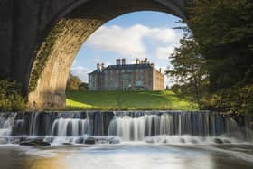 Have a fun-filled family day out at Dalkeith Country Park