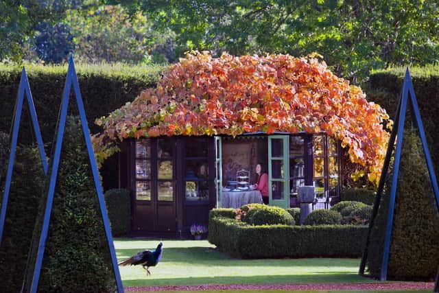 There will also be a tea house to enjoy located in the garden