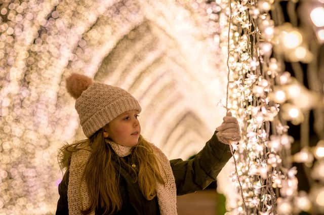The dazzling displays return to the Botanics for their fourth year