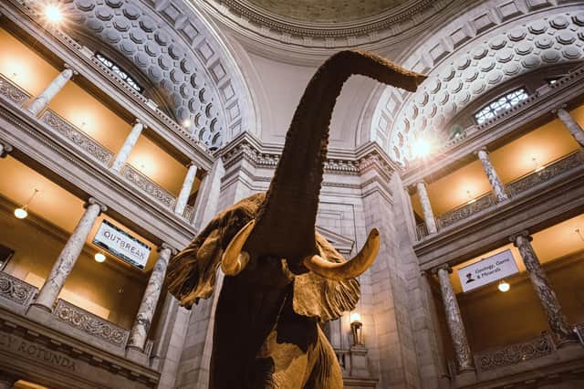 Step into the Smithsonian National Museum of Natural History without leaving home.
