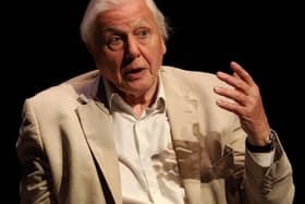Sir David Attenborough has warned of catastrophic consequences if world leaders don't act on climate change, ahead of COP26.