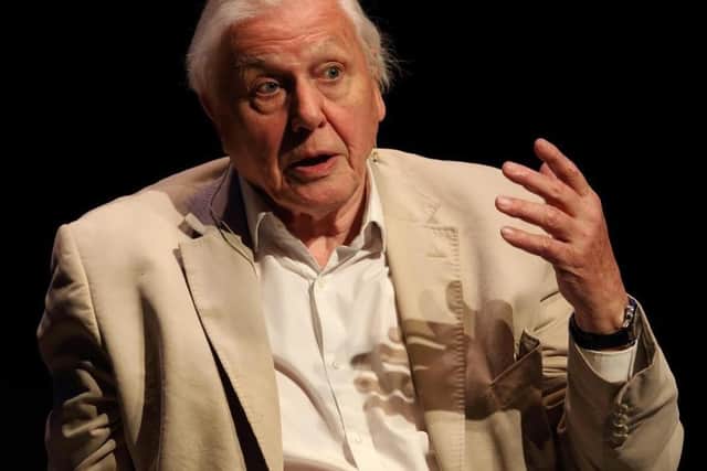 Sir David Attenborough has warned of catastrophic consequences if world leaders don't act on climate change, ahead of COP26.