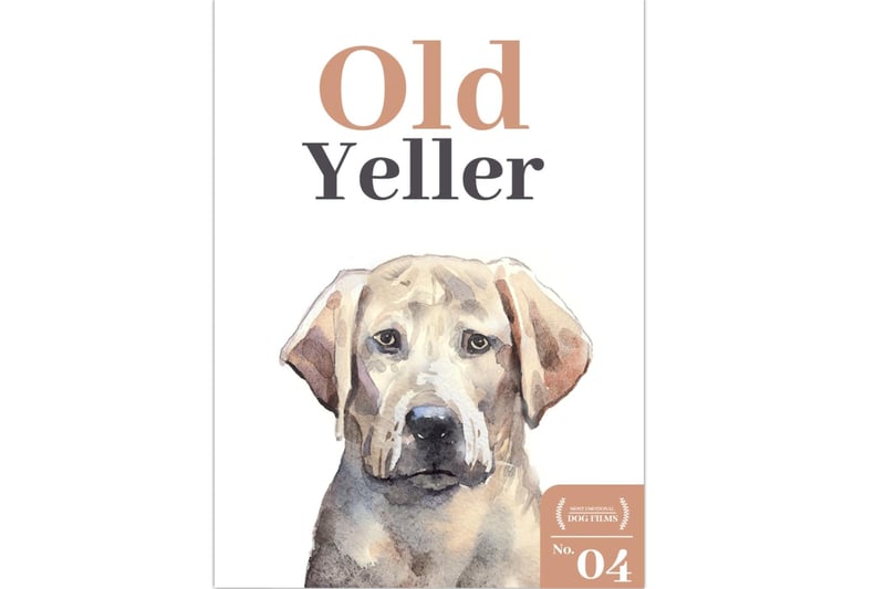 Possibly the most iconic sad dog film on our list, Old Yeller is famous for THAT scene that pulls at the heartstrings every time and is sure to leave viewers a crying mess. It was released back in 1957 based on the novel of the same name but has stood the test of time. Set on a Texas ranch just after the Civil War, this story is about a boy called Travis (Tommy Kirk) and a stray dog who enters his life for the better.