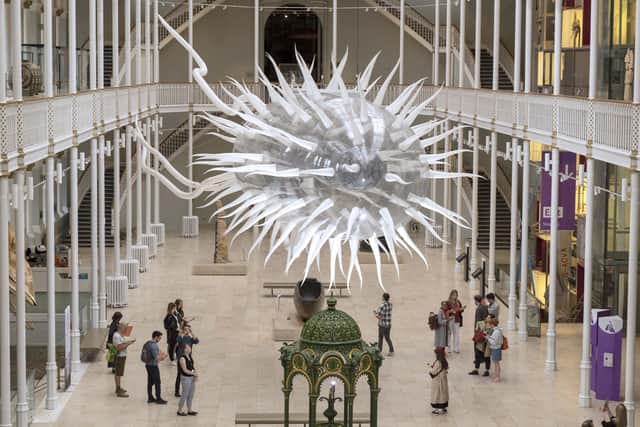 The National Museum of Scotland was home to an E.coli sculpture by the arist Luke Jerram earlier this year. Picture: Neil Hanna
