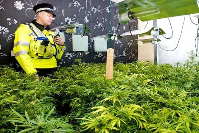 Most young victims are trafficked by crime gangs to operate cannabis farms in domestic properties
