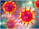 The World Health Organization says the official name for the disease caused by the new coronavirus is Covid-19, and has now declared the outbreak as a pandemic.
