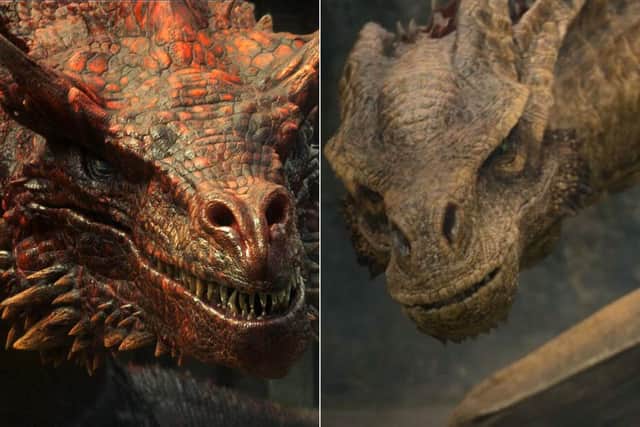 Caraxes and Syrax are among the dragons on the blacks side in House of the Dragon (HBO)