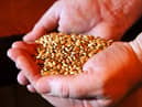 The firm supplies cereal, barley, seed and fertiliser to the whisky, malting and distilling sectors (file image). Picture: Andy Buchanan/AFP via Getty Images.