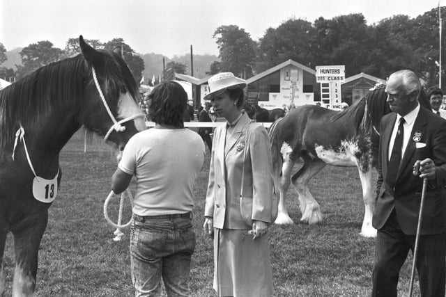 Princess Anne can be seen here with the horses at the Royal Highland Show, held at Ingliston Showground in Edinburgh. Year: 1989