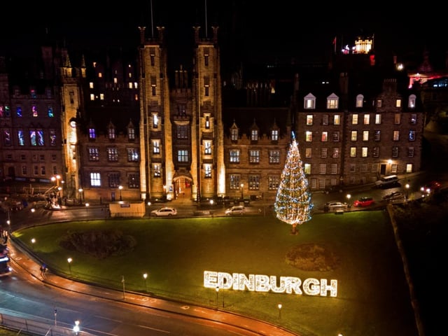 That tree is stunning...
