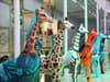 Edinburgh Zoo Giraffe About Town auction raises £246,000 for wildlife conservation