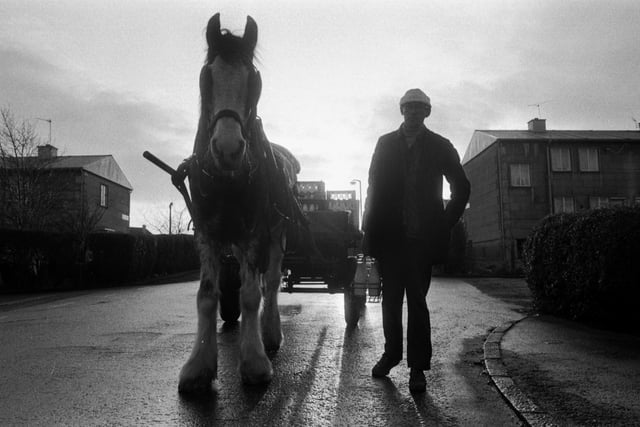 St Cuthberts Co-op (now Scotmid) milkman Ronnie O'Connor and his milk horse Ben on their rounds as the sunrises over Edinburgh in January 1984.