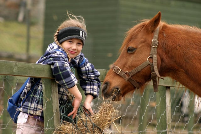Rosa Thuemmler, 7, whose family recently moved from central Germany to Edinburgh, having fun at the Gorgie Farm in April 2004.