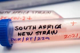 The discovery of a new Covid variant in South Africa has sparked fresh travel restrictions in the UK. Photo: felipecaparros / Canva Pro.