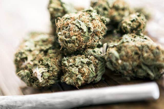 An Edinburgh carer has been struck off the Scottish Social Services Council (SSSC) register for giving cannabis to a vulnerable service user.