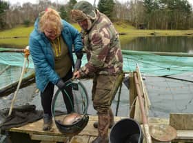 Iona Allan, owner of Allandale Tarn Fishery near West Calder, and Ian prepare for the Scottish National Stillwater Bank Championships at their water on Sunday. Picture Nigel Duncan