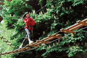 Dalkeith Country Park provides a beautiful backdrop to the Go Ape treetop experience with ancient woodlands, gardens, historic buildings and picturesque ponds