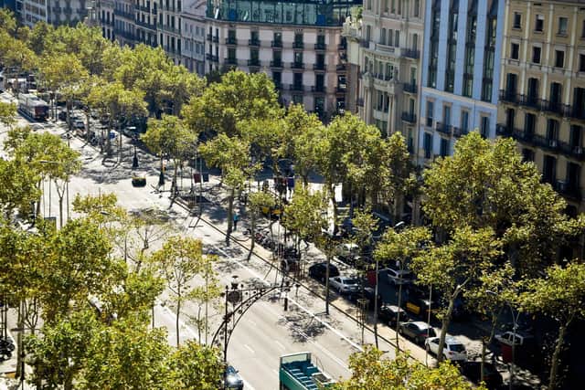 A daily walk down the famous street of Las Ramblas is a must for visitors to Barcelona.