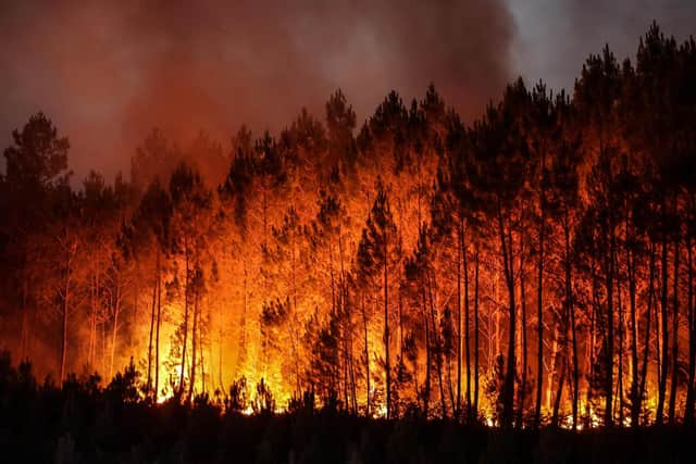 A forest fire in Louchats, south-western France last summer