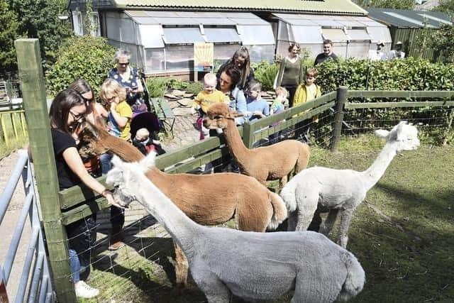 Gorgie Farm: Locals prepare to gather in a show of support of beloved city farm forced to close its doors
