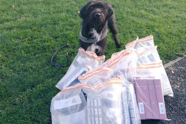 Tobacco detection dog Boo with recovered illegal tobacco.