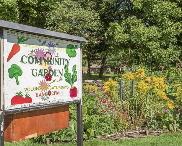 Several Edinburgh-based environmental projects, including community gardens, have been awarded funding.