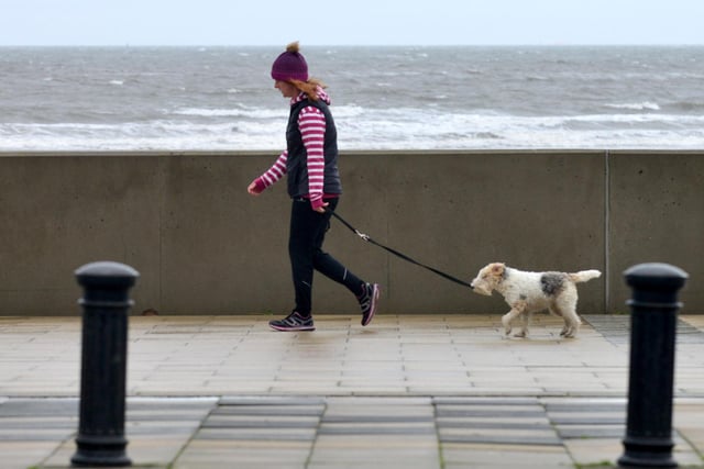 Walking the dog at a wet and wild Seaton Carew.