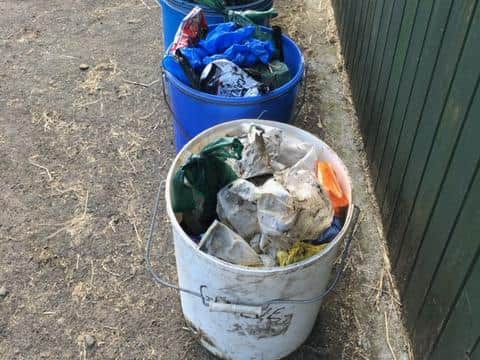 The family from Ratho have removed 500 bagged dog poos from their land.