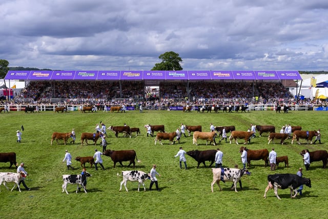 A record 217,000 people visited the Royal Highland Show over the four days of the event. And 26,500 children attended for free.