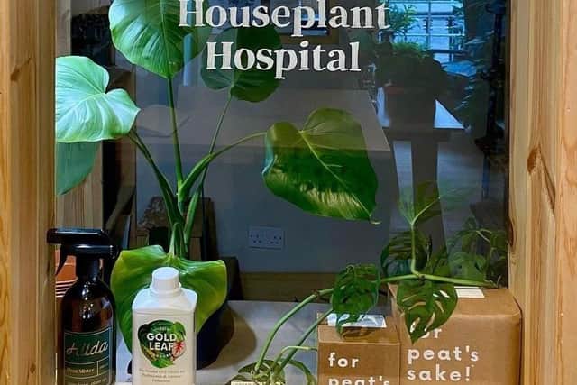Hilda Houseplant Hospital is set to open in Edinburgh and is thought to be the first of its kind