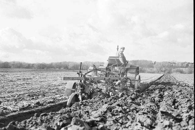 Ploughing using a tractor at East Mains Farm Samuelston, near Haddington, in March 1961.