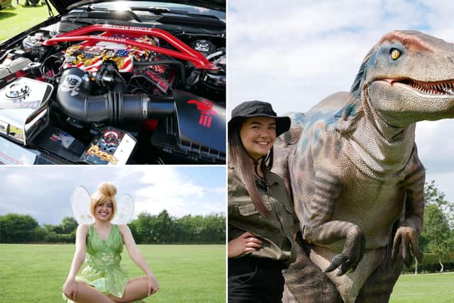 Edinburgh day out: Conifox Adventure Park launches open air theatre, American car show,  Fairy Fest and Dynamic Dinosaurs