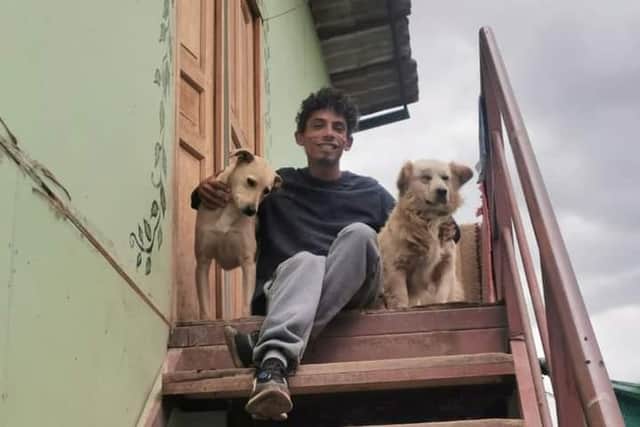 Author Eric Wood in Peru with two street dogs he cares for.