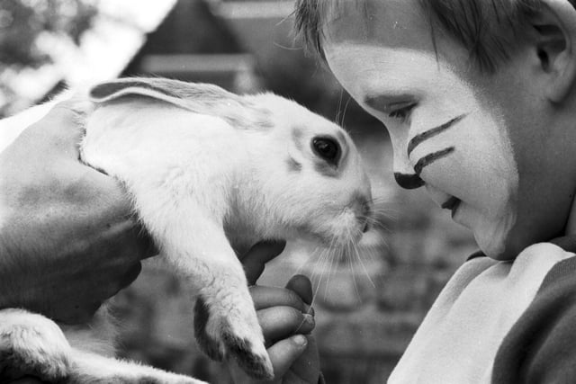 Five-year-old Robert Brown meets Rambo the rabbit at Edinburgh's Gorgie City Farm open day in September 1986.
