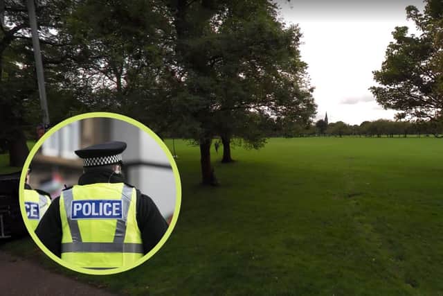 The Meadows, where a man was arrested following an incident which left a woman in hospital on Monday night picture: Google Images and JPI Media