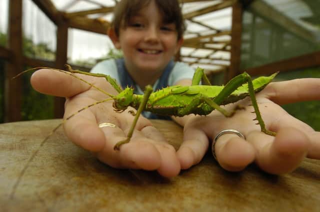 Edinburgh Butterfly & Insect World will not re-open following closure during the Covid pandemic (Picture: Cate Gillon)