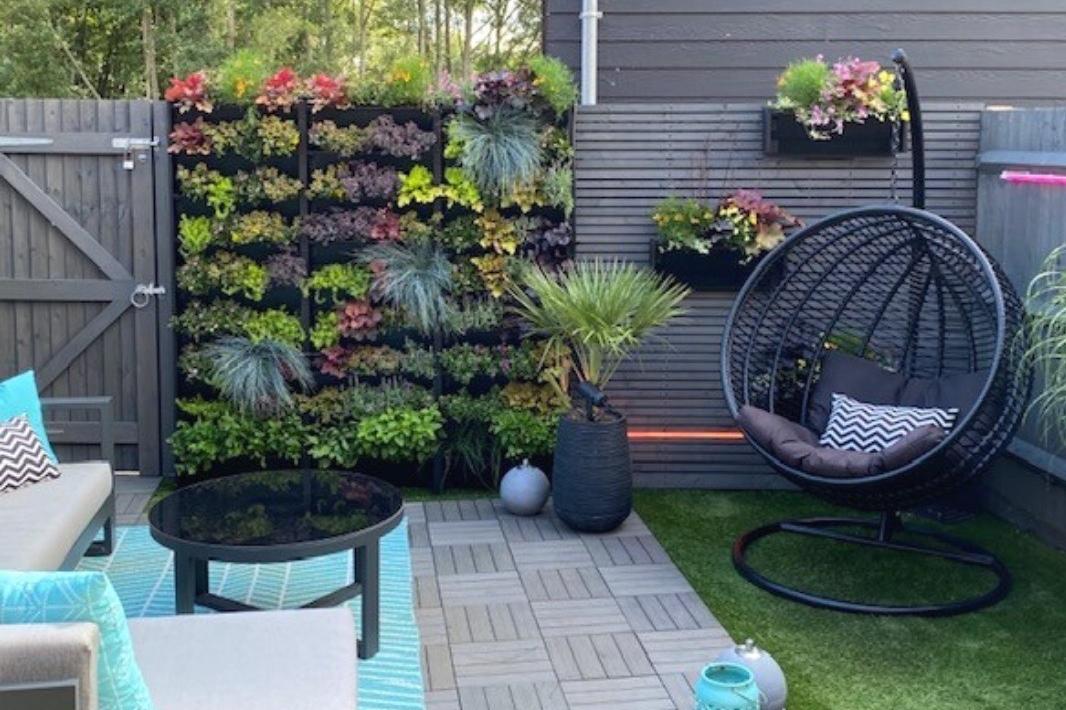 Use these six quick ways to get your garden looking good in a heatwave