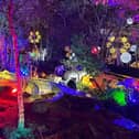 Five Sisters Zoo in West Lothian is set to host Christmas illuminations again this winter.