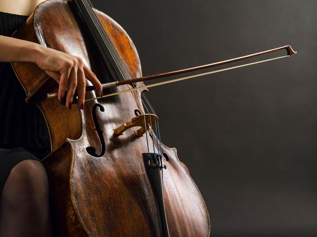 On Monday, November 8, at 2pm enjoy a concert by internationally acclaimed virtuoso cellist and composer, Emily Burridge, who will be will performing her solo cello composition 'Into the Amazon'. With her extraordinary ability to incorporate looping technology whilst performing, she recreates her multi tracked compositions and accompanies her field recordings of the natural environment and traditional singing of the Xavante tribe of the Mato Grosso, Brazil.