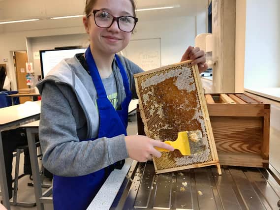 S3 Student uses honey extractor for the first time