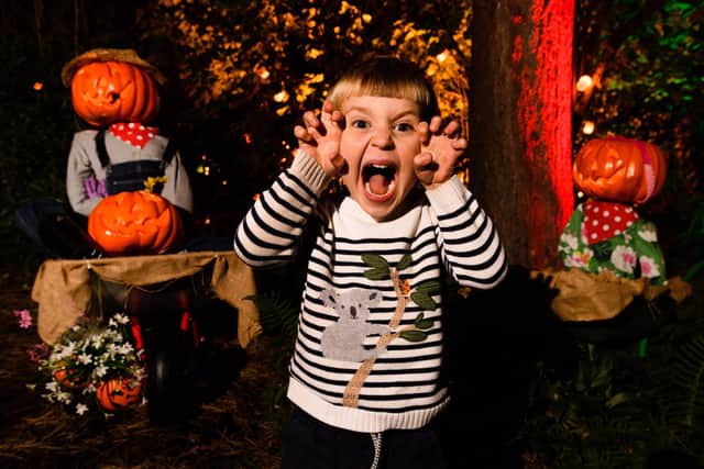 For the first time ever the Royal Zoological Society of Scotland is hosting a family friendly Halloween trail at Edinburgh Zoo.
