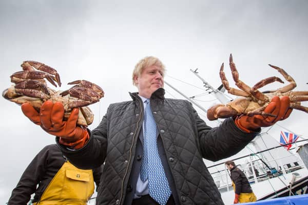 Boris Johnson may soon need to resume his TV career (Picture: Robert Perry/PA Wire)