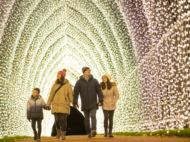 Edinburgh's Botanic Gardens will light up the night sky with festive light installations. (Photo by Phil Wilkinson)