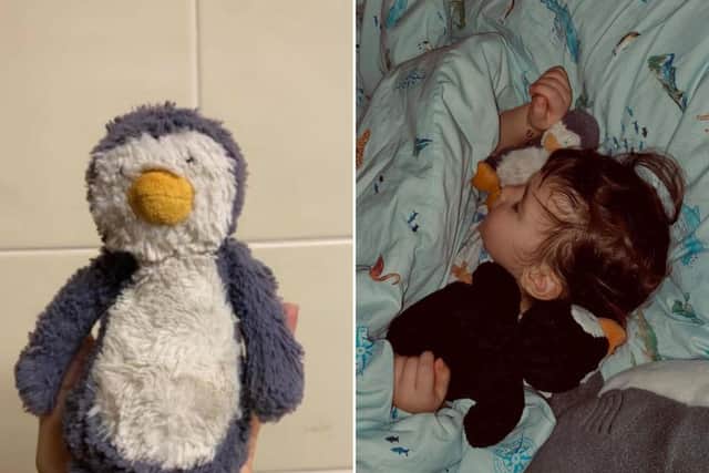 ‘We couldn’t bare to leave him there all cold and alone’: Cuddly toy on the adventure of a lifetime after being rescued from a castle