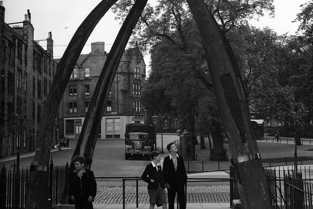 The jawbone arch is made from the jawbones of whale’s, marking the entrance to The Meadows path - originally called Jawbone Walk. The arch was removed in 2014 for restoration. Year: 1954