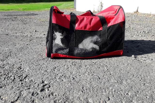 Dumped: Kittens left in a bag in Gilmerton