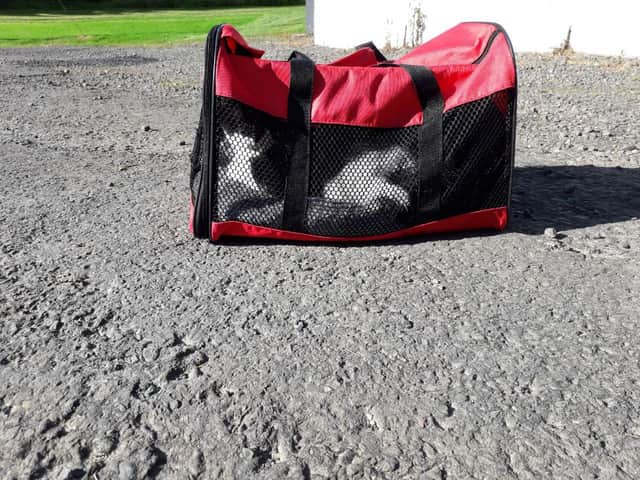 Dumped: Kittens left in a bag in Gilmerton